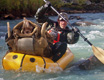 Denali Llama packraft - Denali Llama loaded with meat from a successful hunting expedition to Brooks Range, Alaska, USA