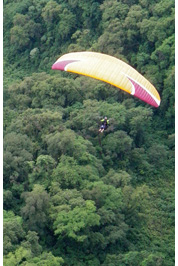 Paragliding above yungas :: Flying above jungle of Tucuman, Argentina