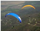 Paragliding above yungas :: Flying above forest road of Villa Nouges, Tucuman, Argentina