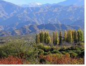 Famatina :: Valley of Famatina with high Sierras de Famatina reaching 20.000ft / 6200m in the background