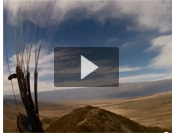 Paragliding in Famatina, Argentina