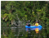 Rio Negro, Istmo Ofqui, Aisen, Patagonia, Chile