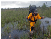 Marshes of Ofqui isthmus, Aisen, Patagonia, Chile