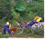 Shore of Reicher Stream Shore of Reicher Stream