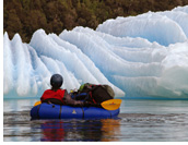 Laguna San Rafael - Calved off floating glacier icebergs fill Laguna San Rafael - an isolated fjord where Glacier San Rafael has its terminus, Northern Patagonian Ice Field, Aisen, Patagonia, Chile