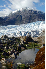HPN1 Glacier - Unnamed HPN1 Glacier, Northern Patagonian Ice Field, Aisen, Patagonia, Chile