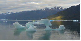 Laguna San Rafael - Calved off floating glacier icebergs fill Laguna San Rafael - an isolated fjord where Glacier San Rafael has its terminus, Northern Patagonian Ice Field, Aisen, Patagonia, Chile